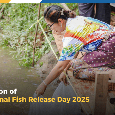 Celebration of the National Fish Release Day 2025