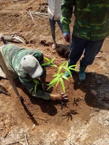 PHOTO-2018-06-02-05-59-19 (1)